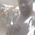 Profile Picture of Thompson Olanrewaju (@iamthompsonolanrewaju) on Instagram