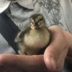 Profile Picture of jesse leyva :) (@jesse_leyva1987) on Instagram