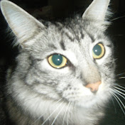 Profile Picture of Tristan Lowe (@tristanlowe3416) on Youtube