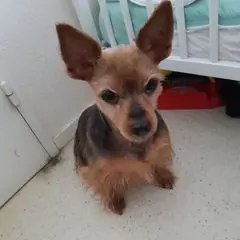 Profile Picture of delfossekaty (@delfossekaty) on Tiktok