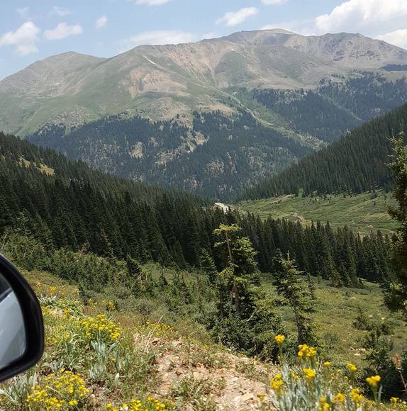 Profile Picture of Piper Perabo (@roianwilborn) on Poshmark