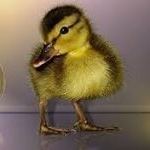 Maciej Kaczyński - Instagram Profile Picture of Maciej Kaczyński (@k_a_c_z_k_a) on Instagram