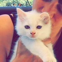 Profile Picture of Emmanuèle Valiau Lecrivain (@emmanuèle-valiau-lecrivain) on Quora