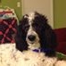 Profile Picture of Ann Wicker (@ann.wicker.330) on Facebook