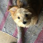 Profile Picture of Keri Swartzendruber (@keswartzendruber) on Instagram
