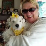 Profile Picture of Renee Scanlon (@reneesscanlon) on Instagram