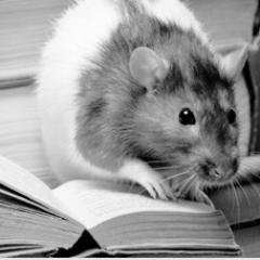 Profile Picture of Jonathon Green (@MisterSlang) on Twitter