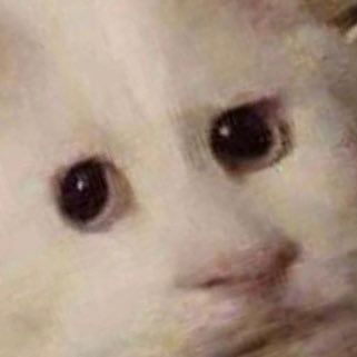 Profile Picture of Tom Hartnell (@Tomhartnell4) on Twitter