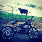 Profile Picture of jean_irby (@jean_hatchet_irby) on Instagram