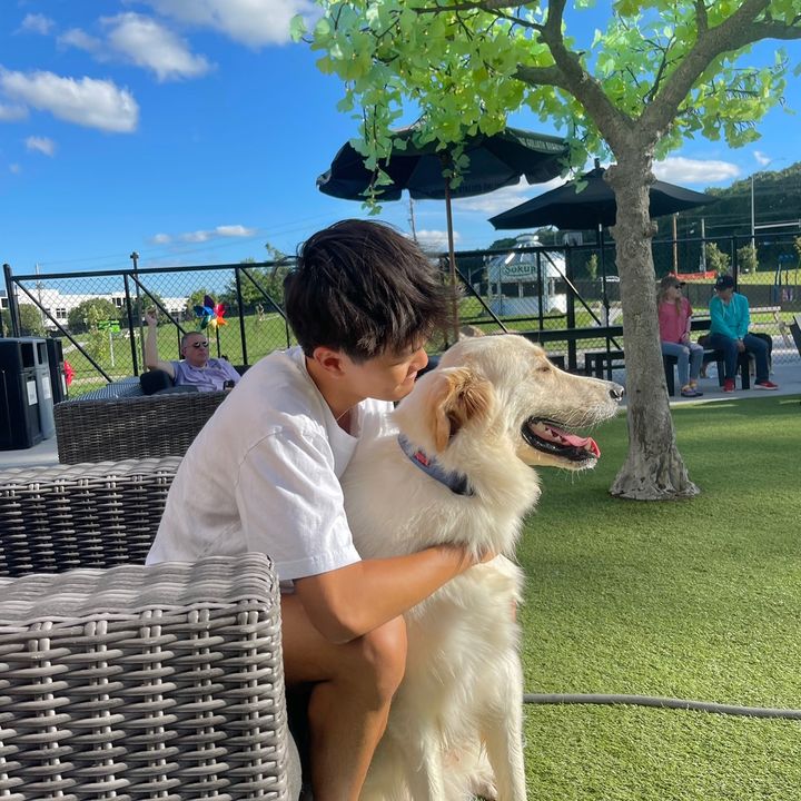 Profile Picture of David Tran (@_davidtran_) on Tiktok