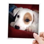 Profile Picture of Destiny Mize (@r.i.p_aspen) on Instagram