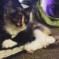 Profile Picture of Joseph Willoughby (@joseph-willoughby-5) on Quora