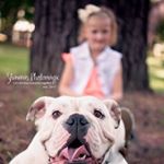 Profile Photo of Carolyn Hickman (@bulldognanny) on Instagram