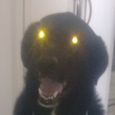 Bill - Twitter Profile Picture of Bill (@WilliamBrum) on Twitter