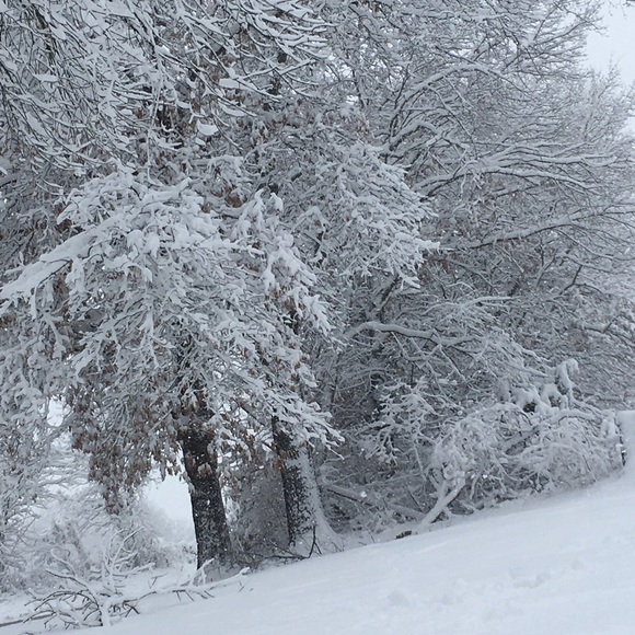 Profile Picture of Tanya Hladky (@thladky112) on Poshmark