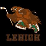 Profile Picture of Lehigh Hockey (@hawksbyathousand) on Instagram