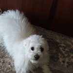 Profile Picture of Sandra Malcom (@sandramalcom22) on Instagram