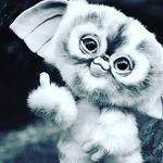 Profile Picture of Lorenzo Gallegos (@lorenzo.gallegos.31) on Instagram