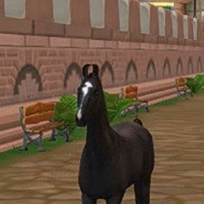 Profile Picture of lucia_yangford (@lucia_yangford) on Tiktok