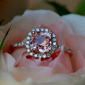 Profile Picture of Donna Stepp D'Amico (@donnasdamico) on Pinterest