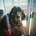 Profile Picture of Lennie Gammon (@lennie.gammon.52) on Facebook