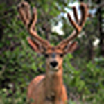 Profile Picture of Larry Marshall (@larry_m882) on Flickr