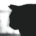 Profile Picture of @takumi (@@takumi) on Flickr