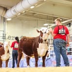 Profile Picture of Brogan Keltner (@Brogan-Keltner) on Facebook