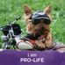 Profile Picture of Chuck Waters (@charles.waters.140) on Facebook