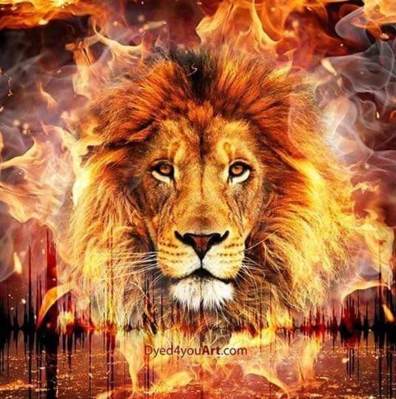 Profile Picture of Jason Pruett (@jasonpruett) on Poshmark