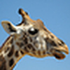 Profile Picture of deemes5 (@deemes5) on Flickr