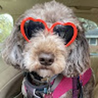 Profile Picture of Michaela Obrien (@michaela-obrien-63) on Quora