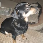 Profile Picture of cade pinegar (@cadepinegar) on Instagram