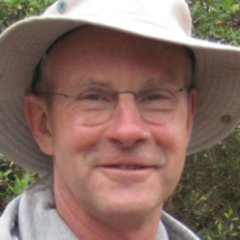 Profile Picture of Dano Roelvink (@RoelvinkDano) on Twitter