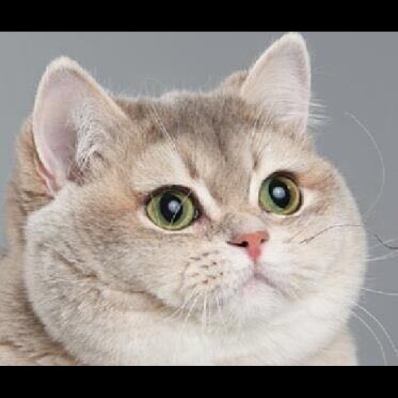 Profile Picture of Minely Rodriguez (@minelyrubi) on Poshmark