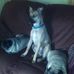 Profile Picture of Debbie Potts (@Debbie-Potts) on Facebook