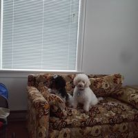 Profile Picture of Sherri Solomon Pearson (@sherri-solomon-pearson) on Quora