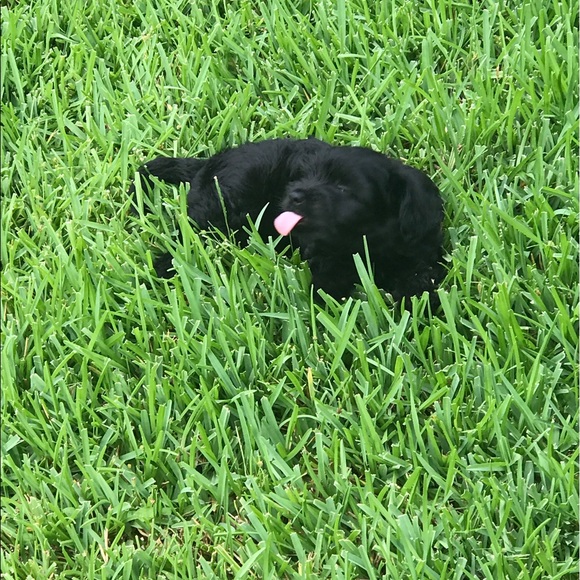 Profile Picture of Marilu Madrigal (@marilumadrigal) on Poshmark