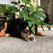 Profile Picture of Alex Willson (@alexwillson8221) on Youtube