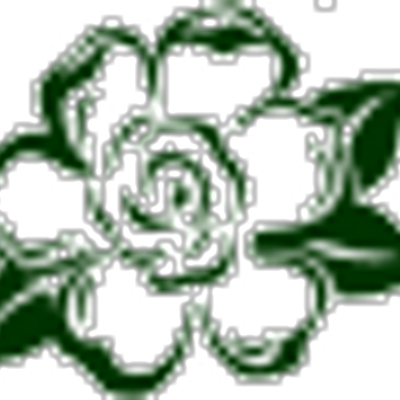 Profile Picture of Jordan Falk (@essentialginger) on Twitter