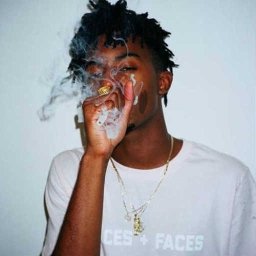 Profile Picture of Steven DiPietro (@dipietro_steven) on Twitter