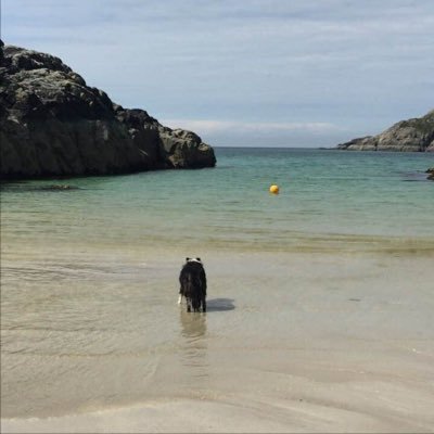 Profile Picture of Andrew Macmillan (@AndrewMacmill77) on Twitter