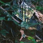 Profile Picture of Jessica Mik Chicken (@jessicamikchicken) on Instagram