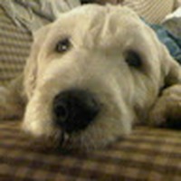 Lori Trudel - Quora Profile Picture of Lori Trudel (@lori-trudel) on Quora