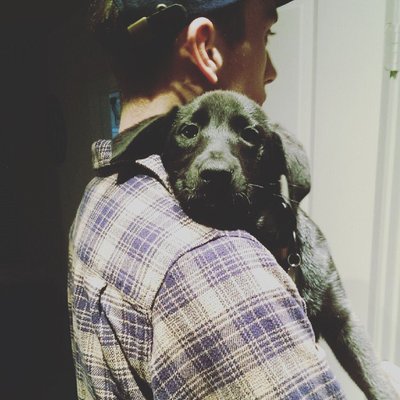 Profile Picture of Travis Silver (@travis_silver1) on Twitter