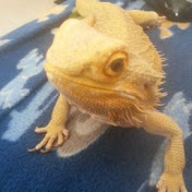 Profile Picture of Keith Eversfield (@keitheversfield6029) on Youtube