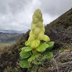 Profile Picture of Haibin Zhang (@haibin.zhang.2025) on Facebook