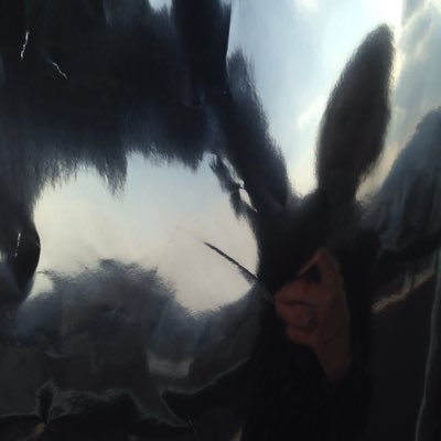 Profile Picture of Julia Steininger (@Blumenbewegung) on Twitter