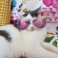 Profile Picture of Trudy Wilson (@trudy-wilson-11) on Quora