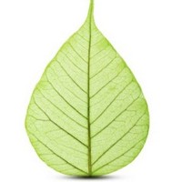 Profile Picture of Heidi Marks (@heidi-marks-5) on Quora